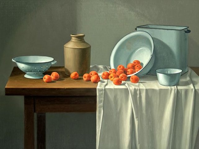 Apricots by Klaas Hart at Gallery 133