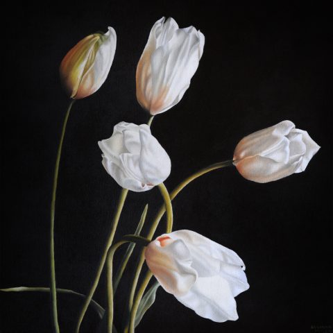 'White Tulips' by Adriana Molea at Gallery 133